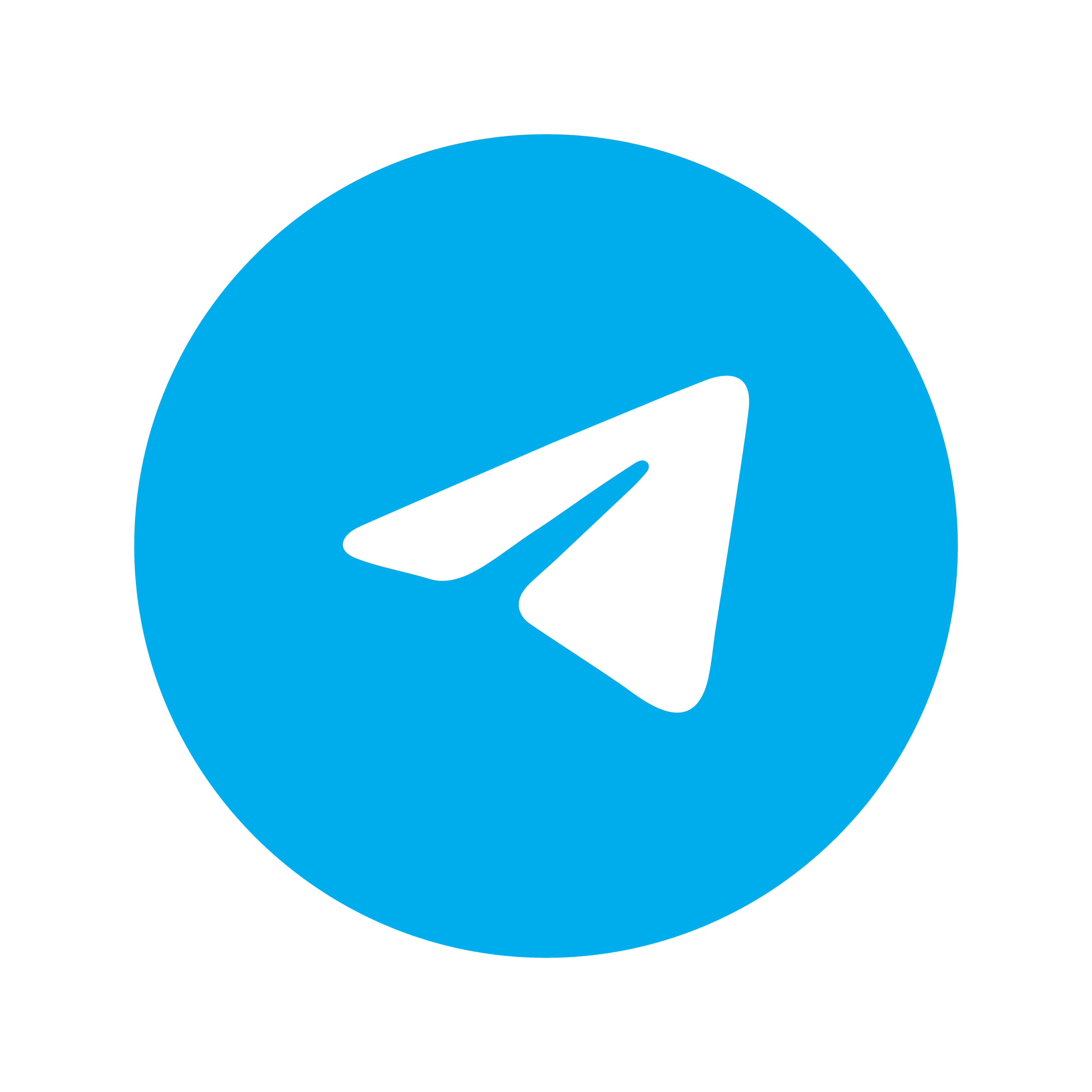 Contact us on Telegram